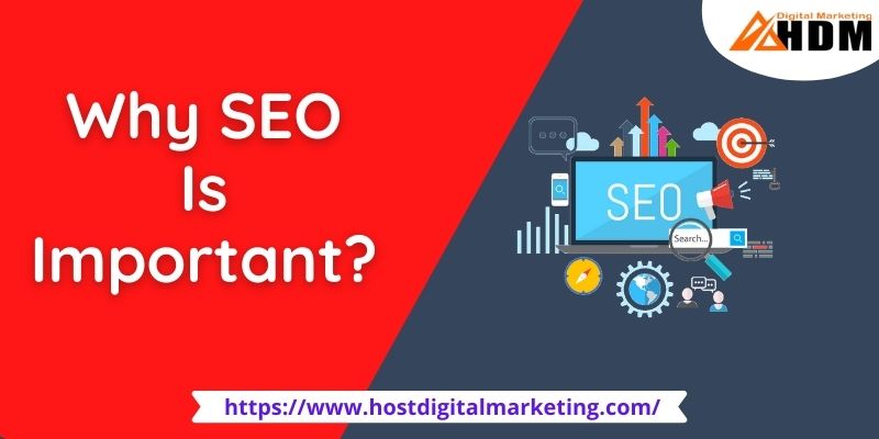 What is SEO/ Search Engine Optimization & Why seo is important?