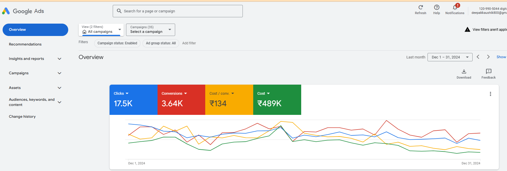 Google Ads Result Dec 2024