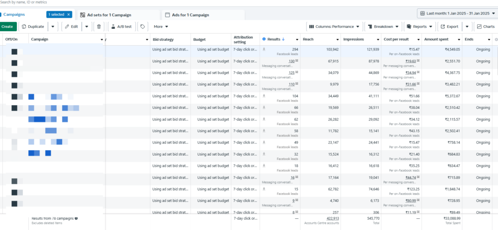 Facebook and Instagram Ads Result Jan 2025